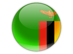 Flag of Zambia