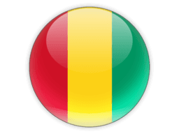 Flag of Guinea