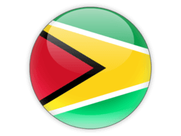 Flag of Guyana
